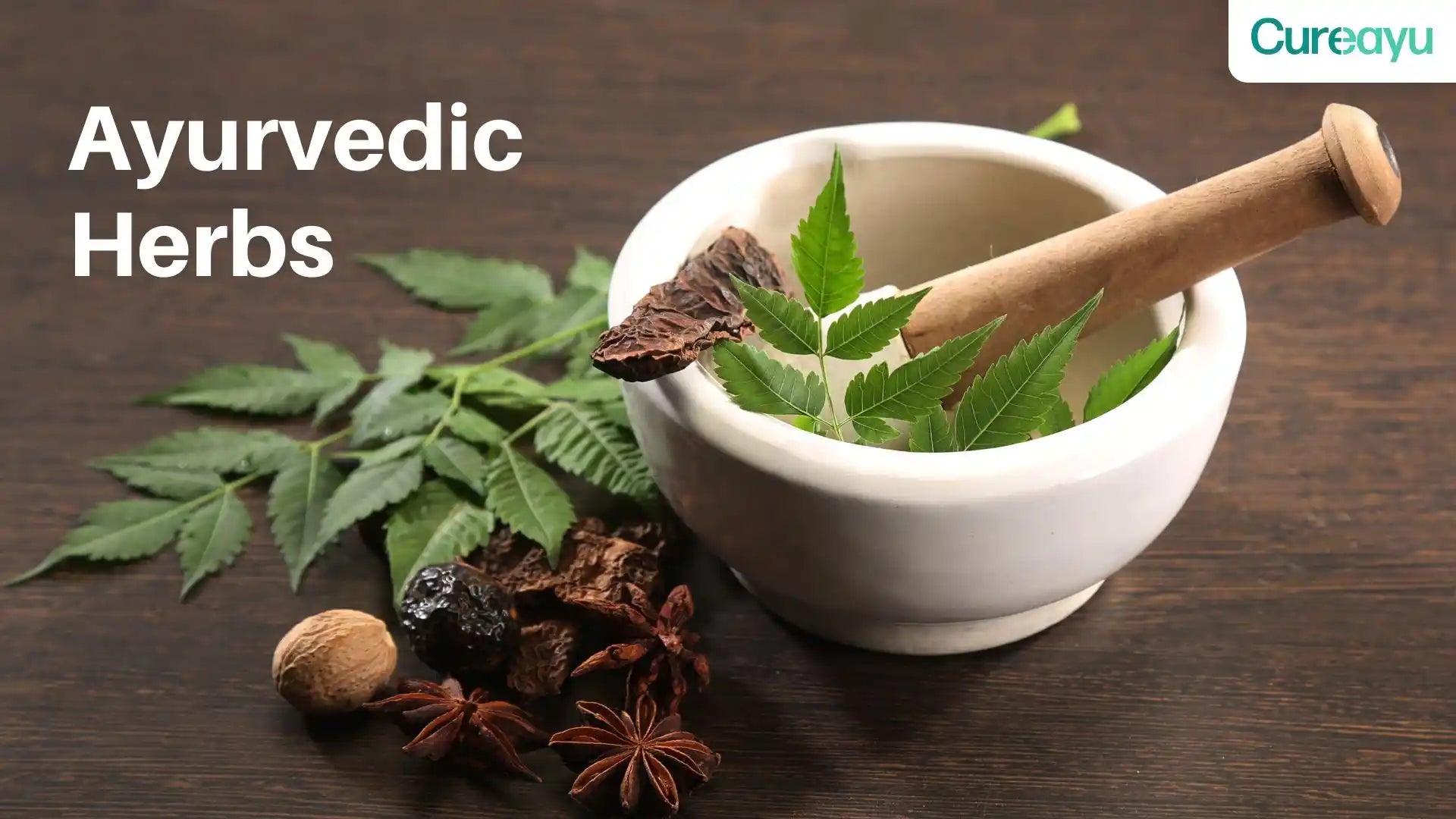 ayurvedic herbs list