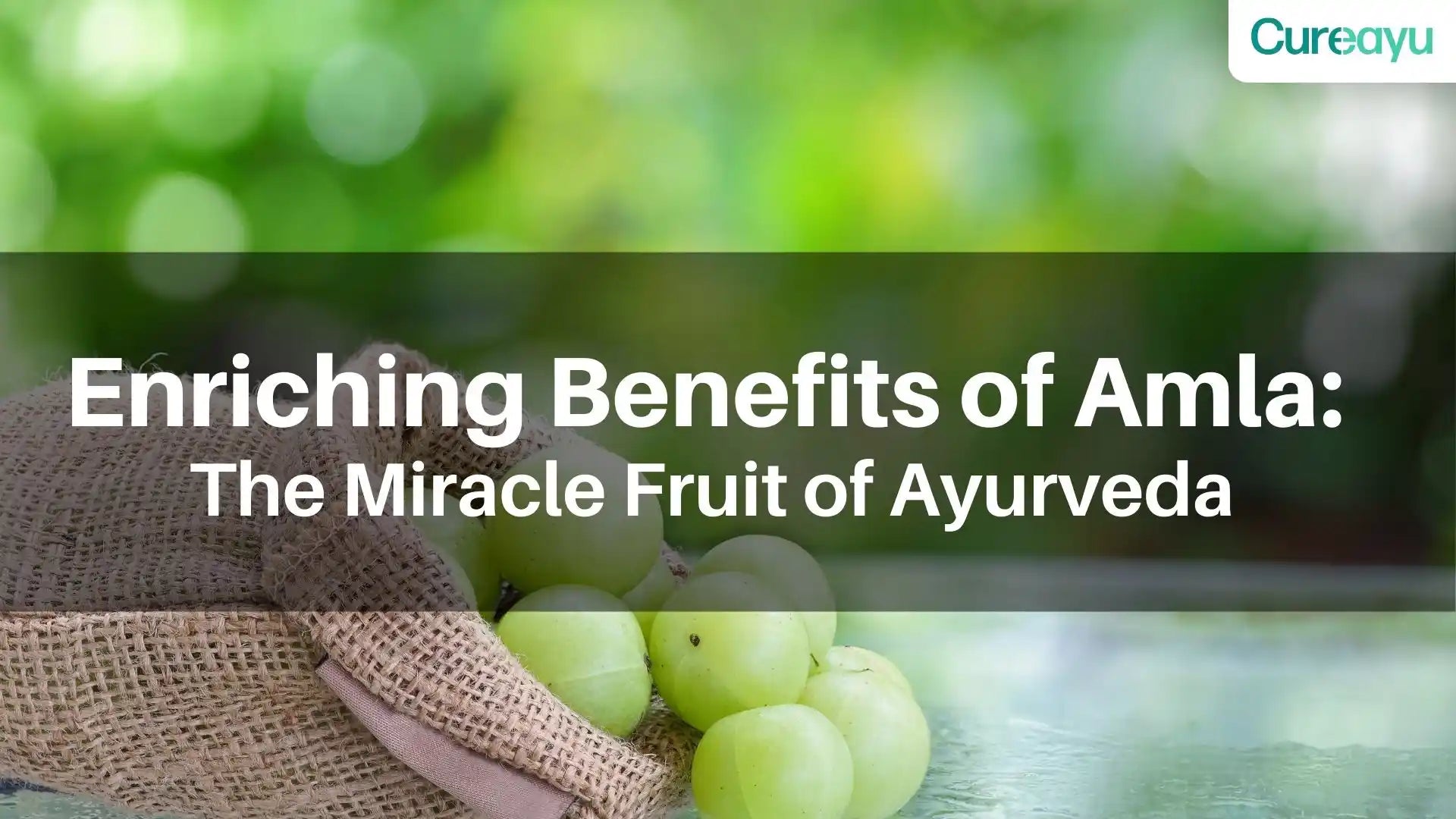 amla benefits