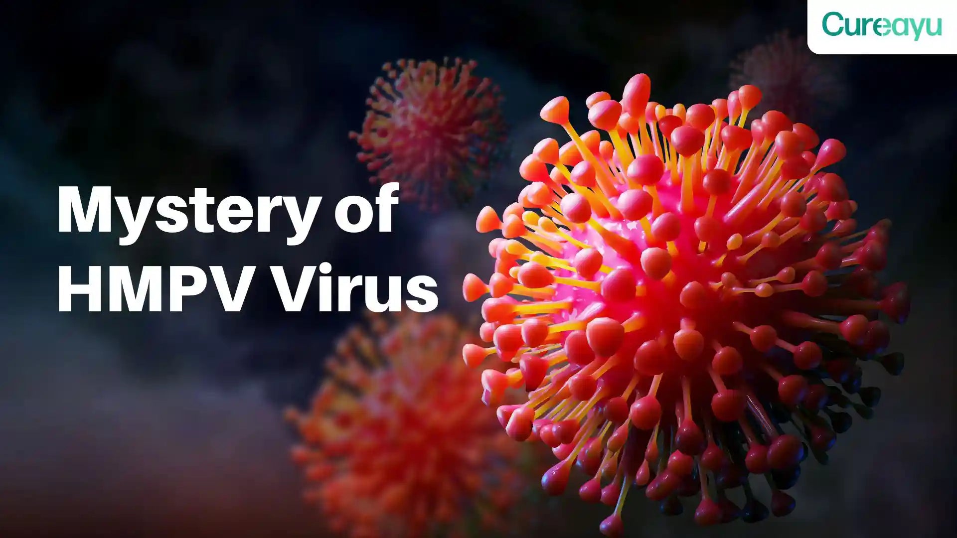 hmpv virus