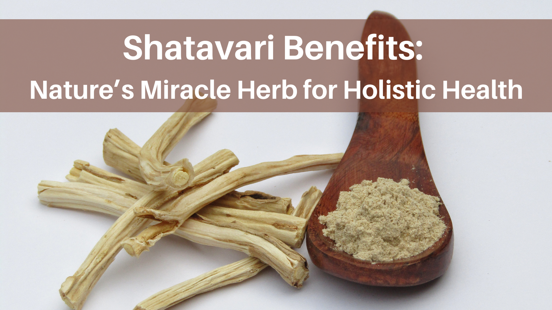 shatavari benefits