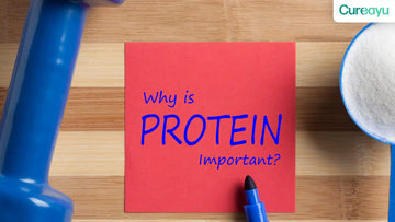 why is protein important