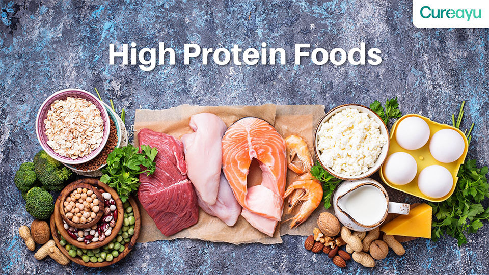 high protein foods