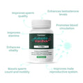 male infertility supplement